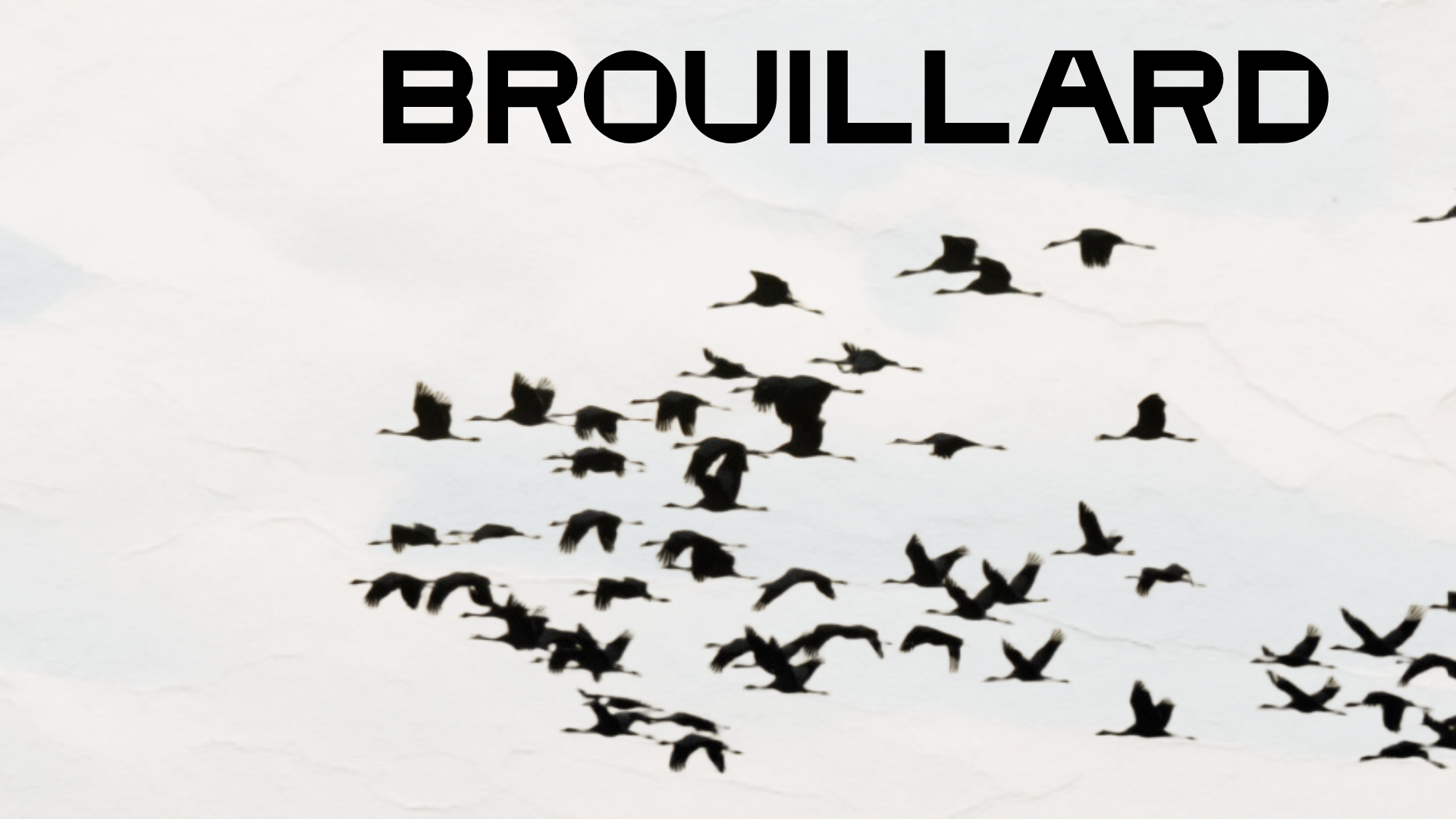 brouillard visuel